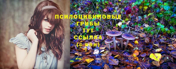 сатива Алексеевка
