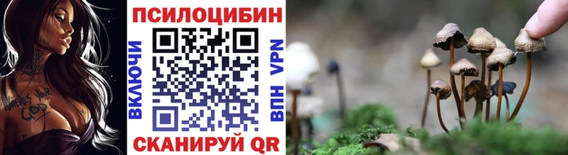 Псилоцибиновые грибы GOLDEN TEACHER  Томилино 