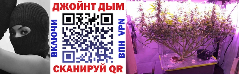 Конопля ГИДРОПОН  Томилино 